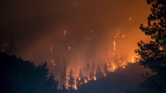 Das Bild zeigt einen Waldbrand - sinnbildlich für eine Naturkatastrophe.