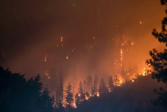 Das Bild zeigt einen Waldbrand - sinnbildlich für eine Naturkatastrophe.